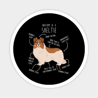 Color Headed White Sheltie Shetland Sheepdog Anatomy Magnet